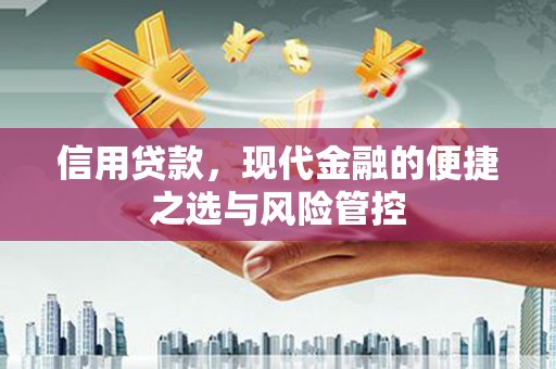 陈巴尔虎旗信用贷款，现代金融的便捷之选与风险管控