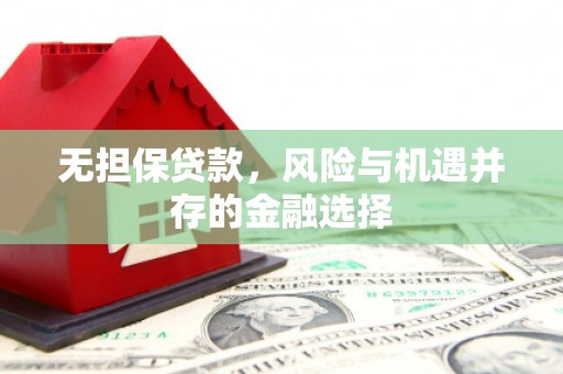 陈巴尔虎旗无担保贷款，风险与机遇并存的金融选择