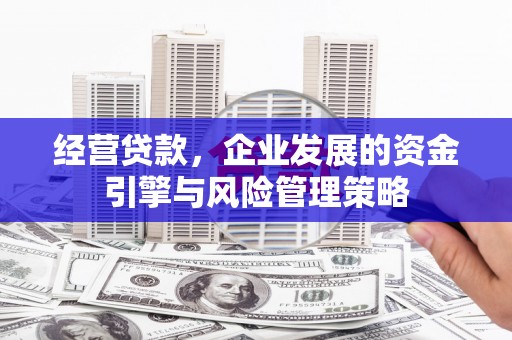 陈巴尔虎旗经营贷款，企业发展的资金引擎与风险管理策略