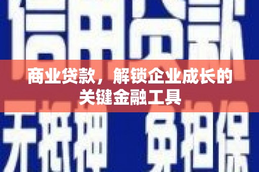 陈巴尔虎旗商业贷款，解锁企业成长的关键金融工具