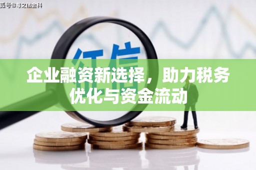 陈巴尔虎旗企业融资新选择，助力税务优化与资金流动