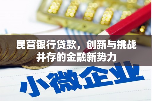 陈巴尔虎旗民营银行贷款，创新与挑战并存的金融新势力