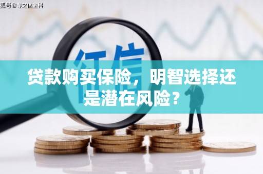 陈巴尔虎旗贷款购买保险，明智选择还是潜在风险？