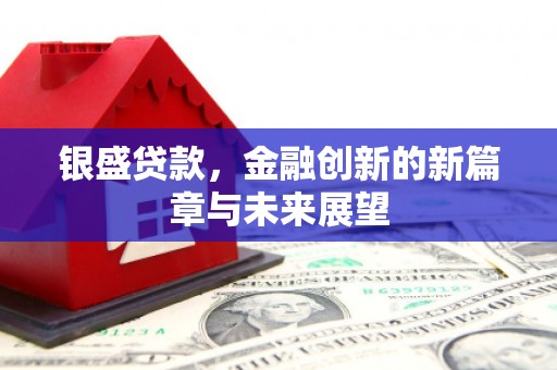 陈巴尔虎旗银盛贷款，金融创新的新篇章与未来展望