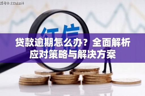 陈巴尔虎旗贷款逾期怎么办？全面解析应对策略与解决方案