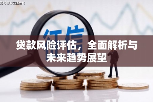 陈巴尔虎旗贷款风险评估，全面解析与未来趋势展望