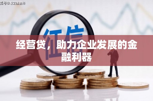 陈巴尔虎旗经营贷，助力企业发展的金融利器