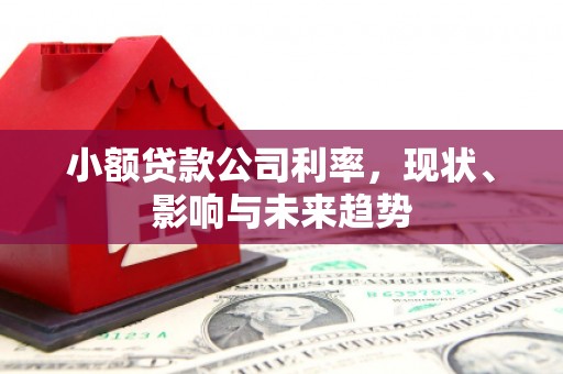 陈巴尔虎旗小额贷款公司利率，现状、影响与未来趋势
