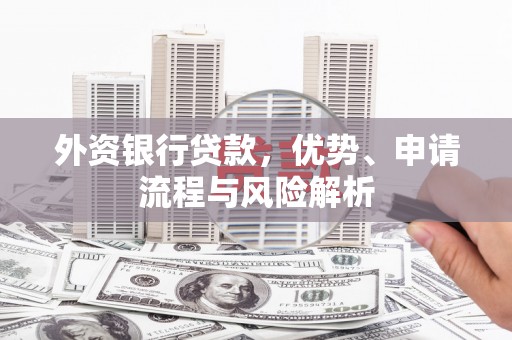 陈巴尔虎旗外资银行贷款，优势、申请流程与风险解析