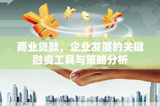 陈巴尔虎旗商业贷款，企业发展的关键融资工具与策略分析