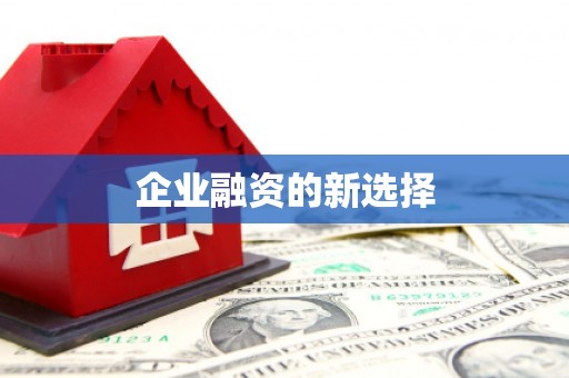 陈巴尔虎旗企业融资的新选择