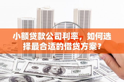 陈巴尔虎旗小额贷款公司利率，如何选择最合适的借贷方案？