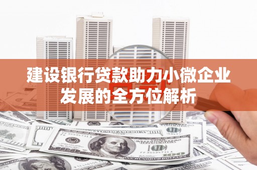 陈巴尔虎旗建设银行贷款助力小微企业发展的全方位解析