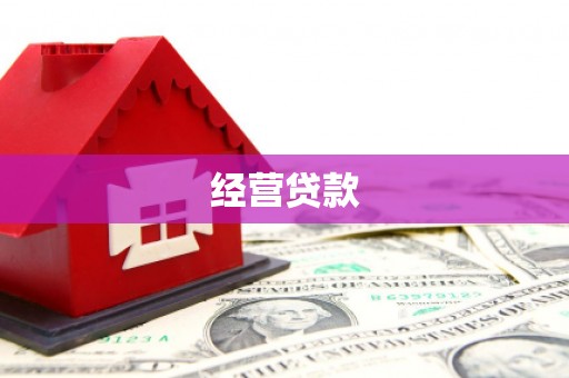 陈巴尔虎旗经营贷款