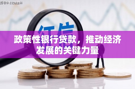 陈巴尔虎旗政策性银行贷款，推动经济发展的关键力量