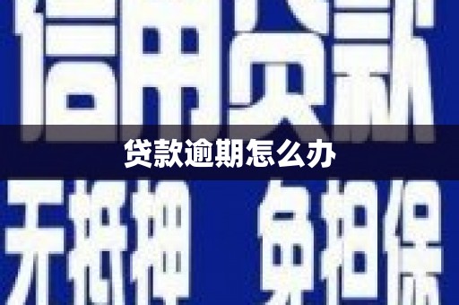 陈巴尔虎旗贷款逾期怎么办