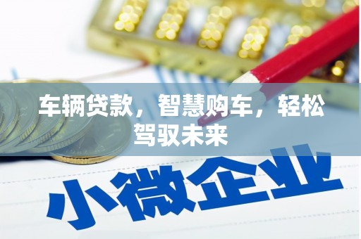 陈巴尔虎旗车辆贷款，智慧购车，轻松驾驭未来