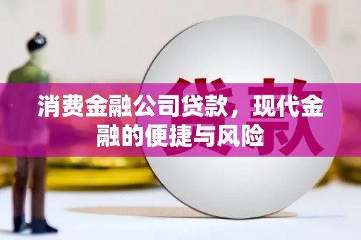 陈巴尔虎旗消费金融公司贷款，现代金融的便捷与风险