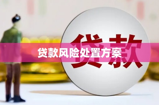 陈巴尔虎旗贷款风险处置方案