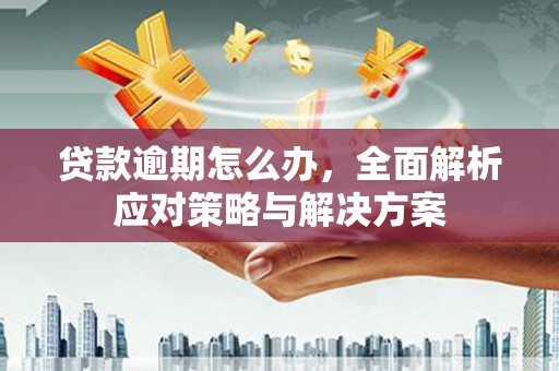 陈巴尔虎旗贷款逾期怎么办，全面解析应对策略与解决方案