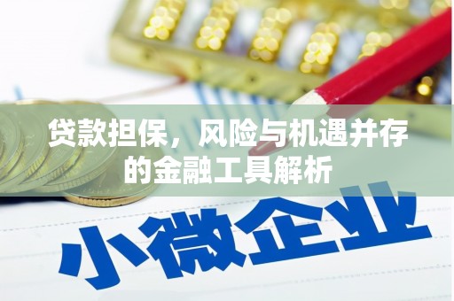 陈巴尔虎旗贷款担保，风险与机遇并存的金融工具解析