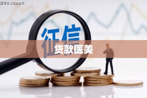 陈巴尔虎旗贷款医美