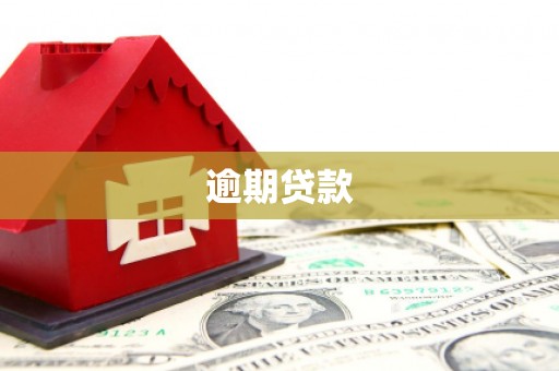 陈巴尔虎旗逾期贷款