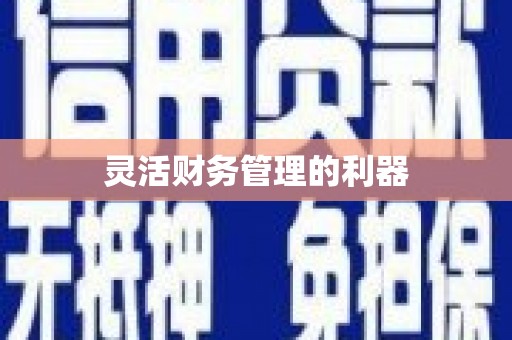 陈巴尔虎旗灵活财务管理的利器