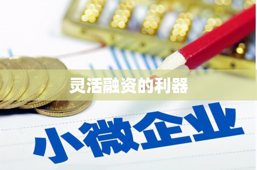 陈巴尔虎旗灵活融资的利器