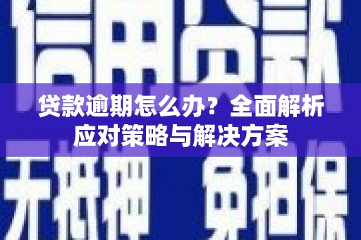 陈巴尔虎旗贷款逾期怎么办？全面解析应对策略与解决方案