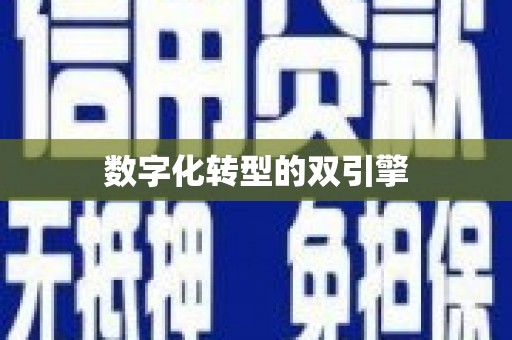 陈巴尔虎旗数字化转型的双引擎
