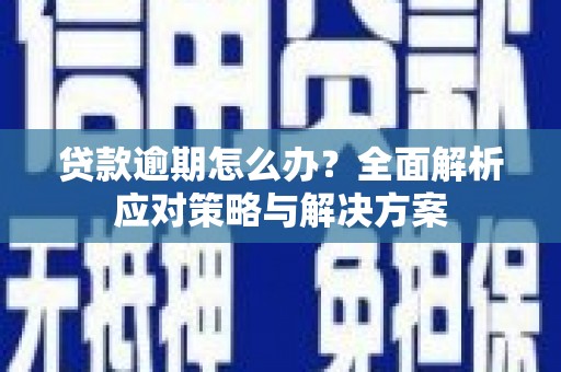 陈巴尔虎旗贷款逾期怎么办？全面解析应对策略与解决方案