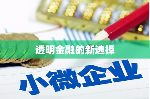 陈巴尔虎旗透明金融的新选择