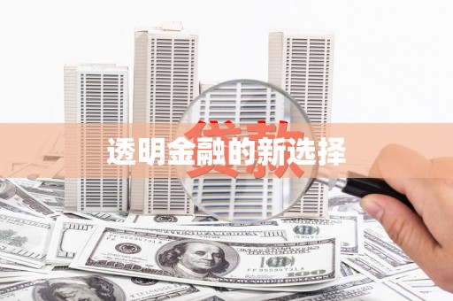 陈巴尔虎旗透明金融的新选择