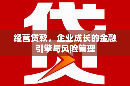 陈巴尔虎旗经营贷款，企业成长的金融引擎与风险管理