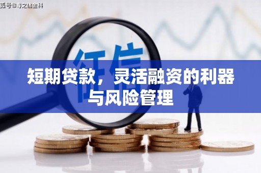 陈巴尔虎旗短期贷款，灵活融资的利器与风险管理