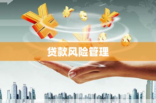 陈巴尔虎旗贷款风险管理