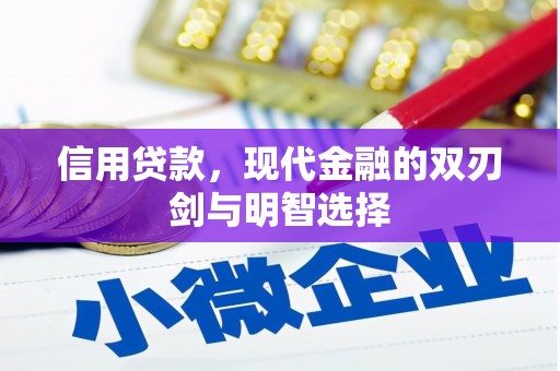陈巴尔虎旗信用贷款，现代金融的双刃剑与明智选择