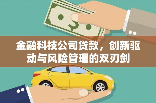 陈巴尔虎旗金融科技公司贷款，创新驱动与风险管理的双刃剑